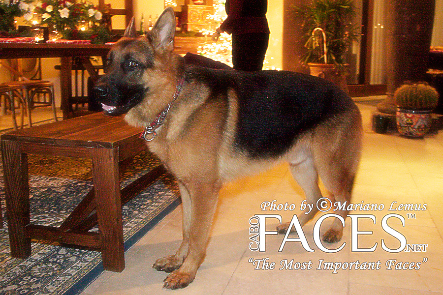 ©www.cabofaces.net Photography