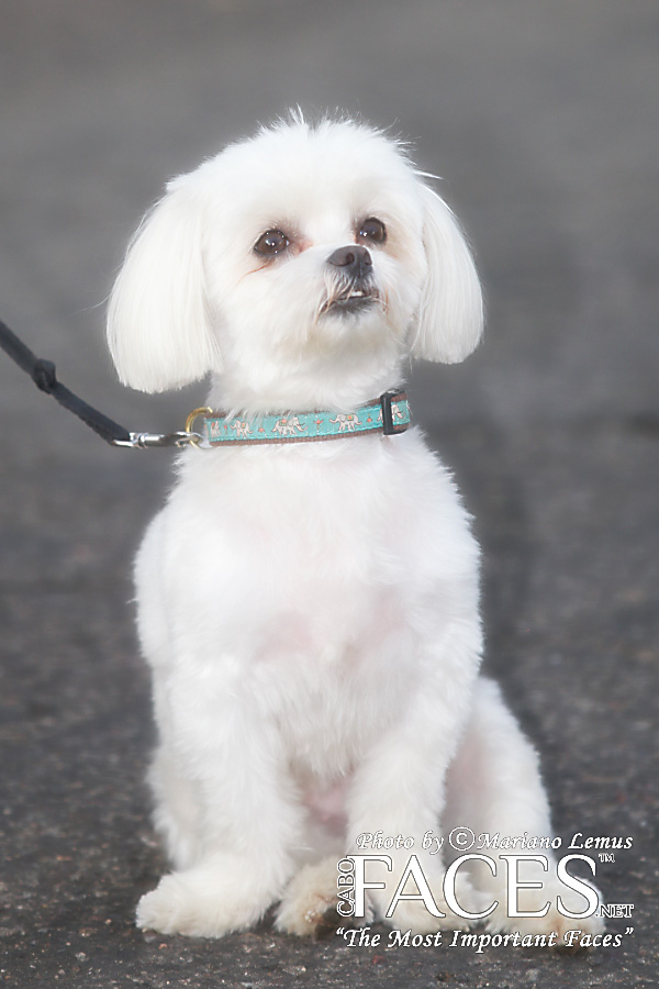 ©www.cabofaces.net Photography